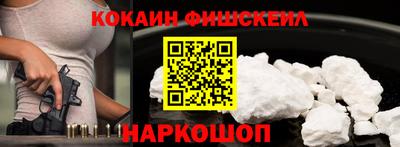 крисы Камышлов