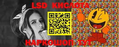 спайс Кингисепп