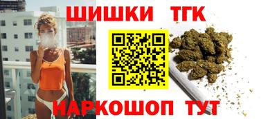 крисы Камышлов