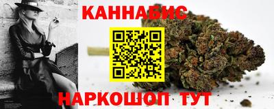 крисы Камышлов