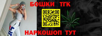 крисы Камышлов