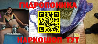 прущие крисы Кандалакша