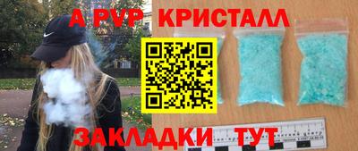 спайс Кингисепп